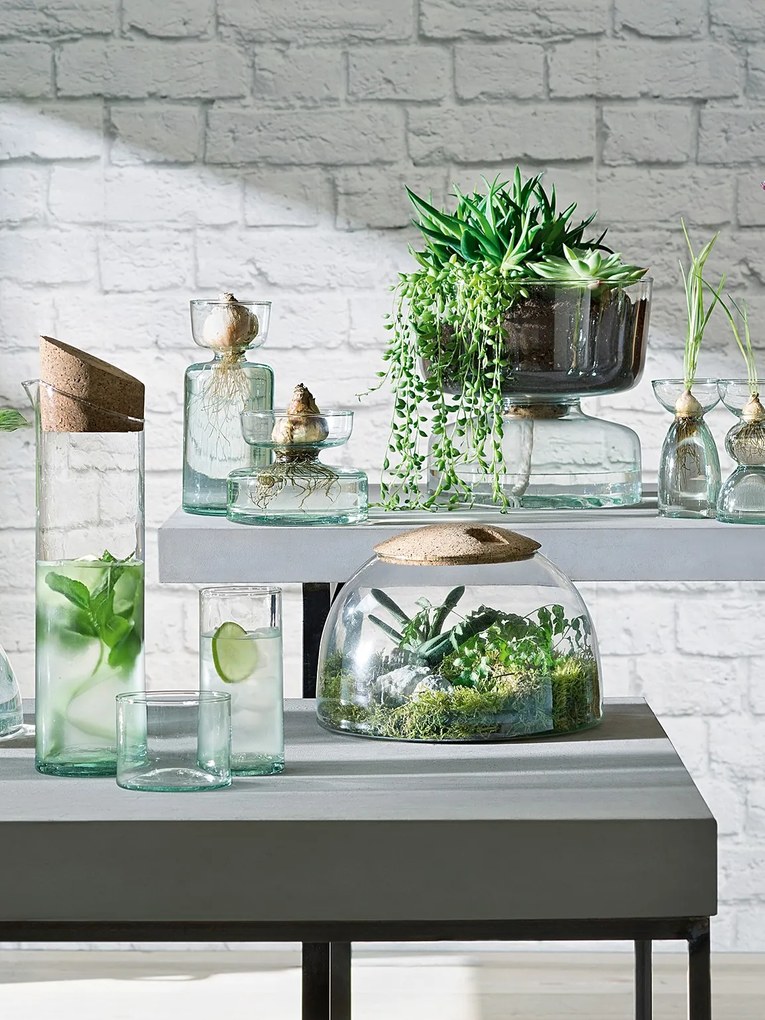 Váza/üveg ültető, 10 cm magas, átlátszó - LSA International