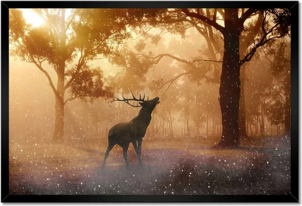 Poszterek keretben 60x40 Szarvas az erdőben