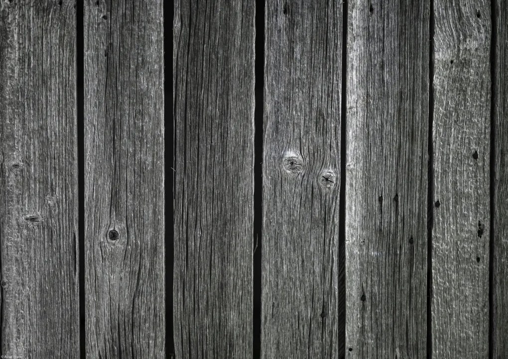 Poszter 42x29,7cm Fa díszlécek, Assaf Frank