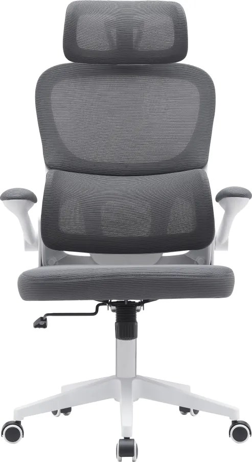 Irodai szék, sötétszürke/fehér, RENARD