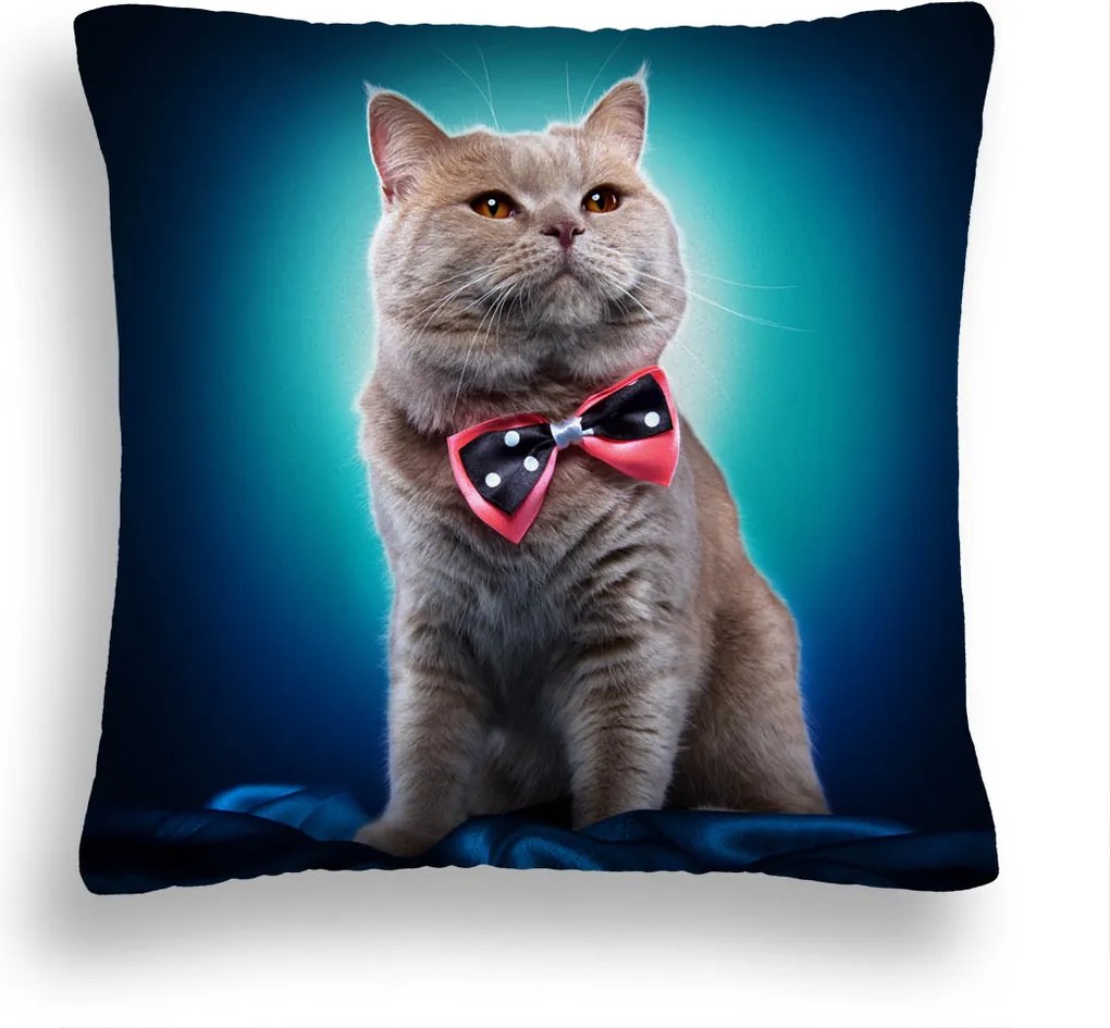 Macska Párna 39 Csokornyakkendő Türkiz Arisztokrata Boglárka