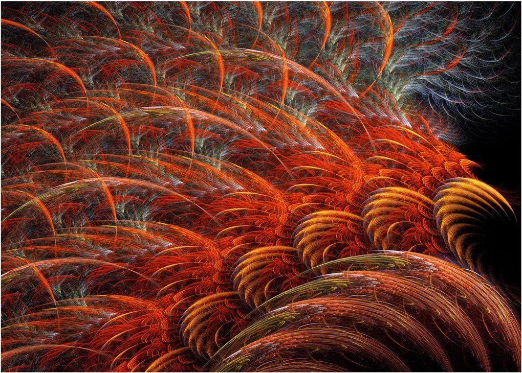Kép - Absztrakt toll utánzat (70x50 cm)