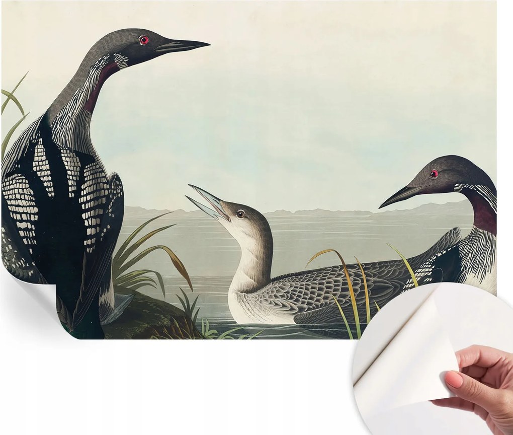 Öntapadós tapéta Divatos 3D fali ragasztó Madarak a vízparton 152x104 cm