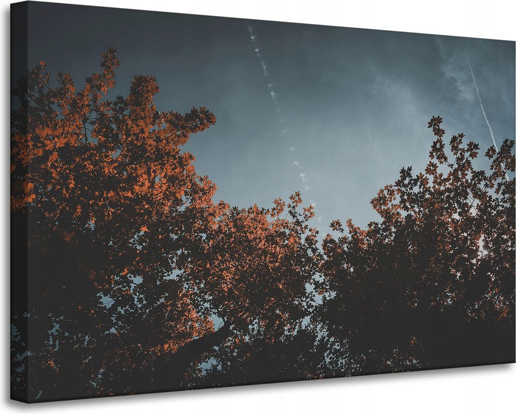 Vászonkép Természet Narancssárga fák 90x60