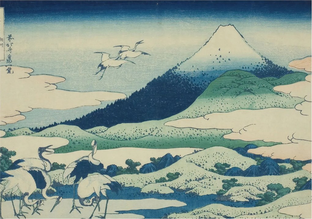 Flizelin tapéta Divatos 3D fali ragasztó Daruk és hegyek 208x146 Ragasztó