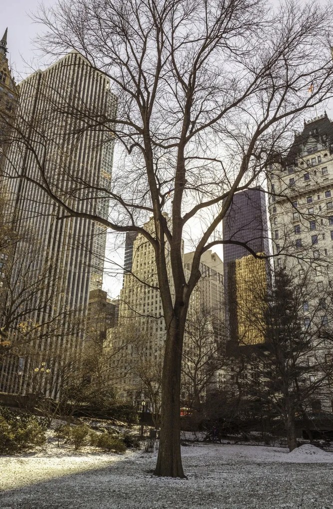 Poszter 53x81cm Központi park panorámával Alsó-Manhattan 2, Assaf Frank