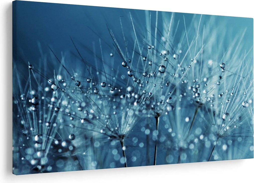Kép - Harmatcseppek (90x60 cm)
