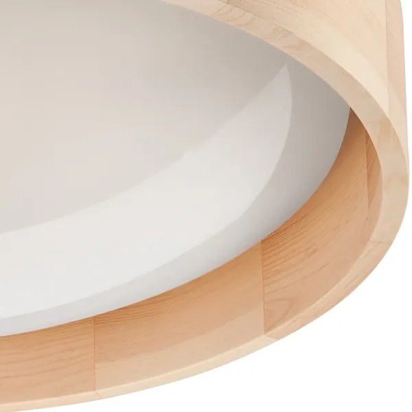 Brilagi - LED dimmelhető mennyezeti lámpatest MANAROLA LED/24W/230V + távirányító