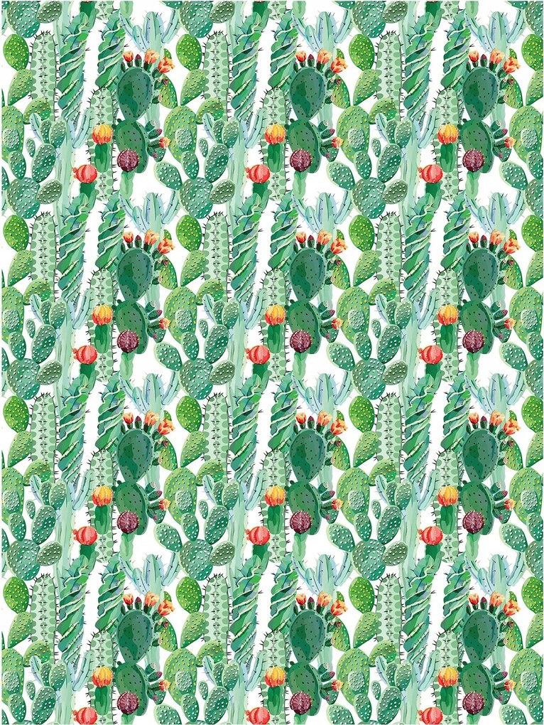 Fotótapéta flizelina Kaktuszok Egzotika és Boho elegancia a belső térben 206x275 +ragasztó