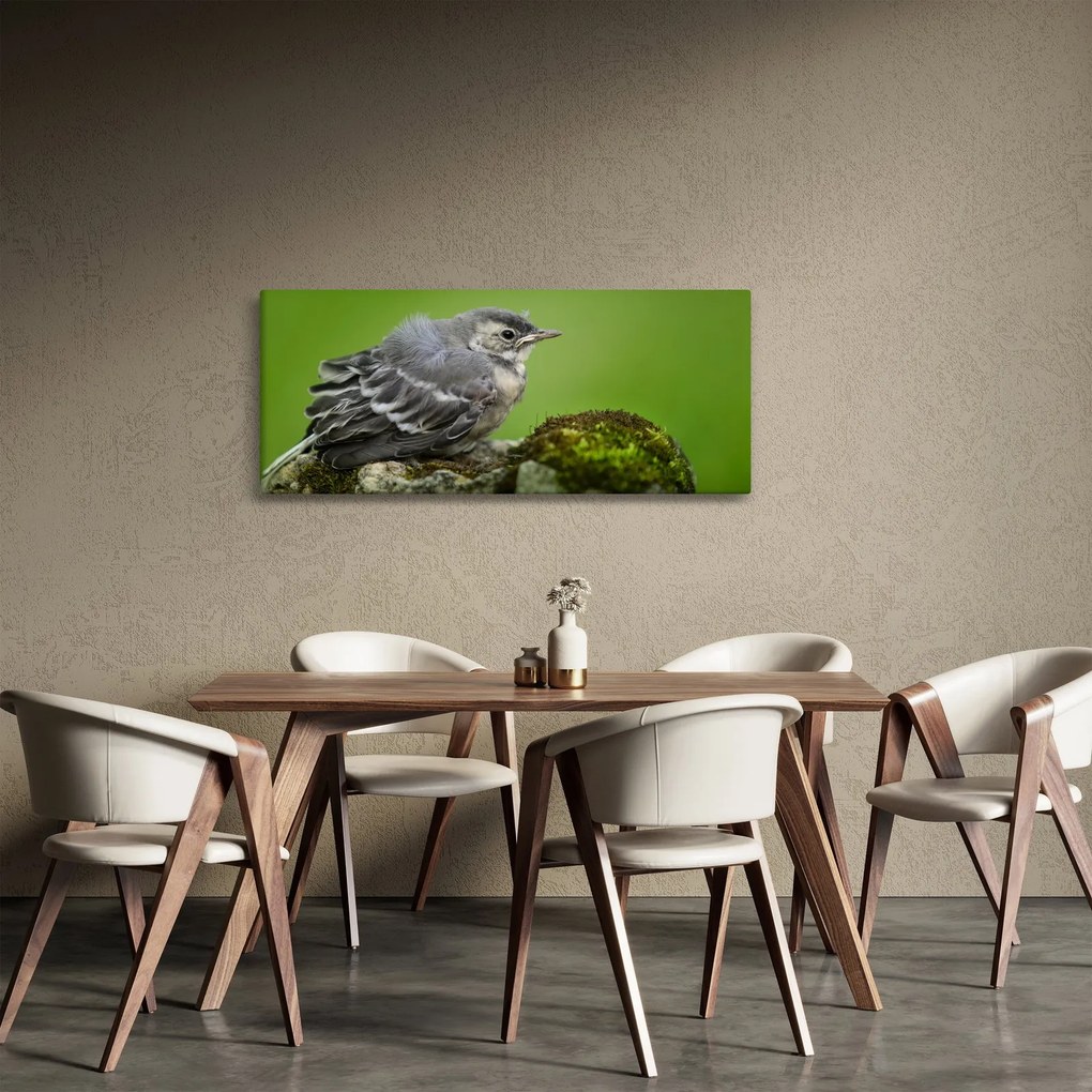 Kép - Légykapó (120x50 cm)
