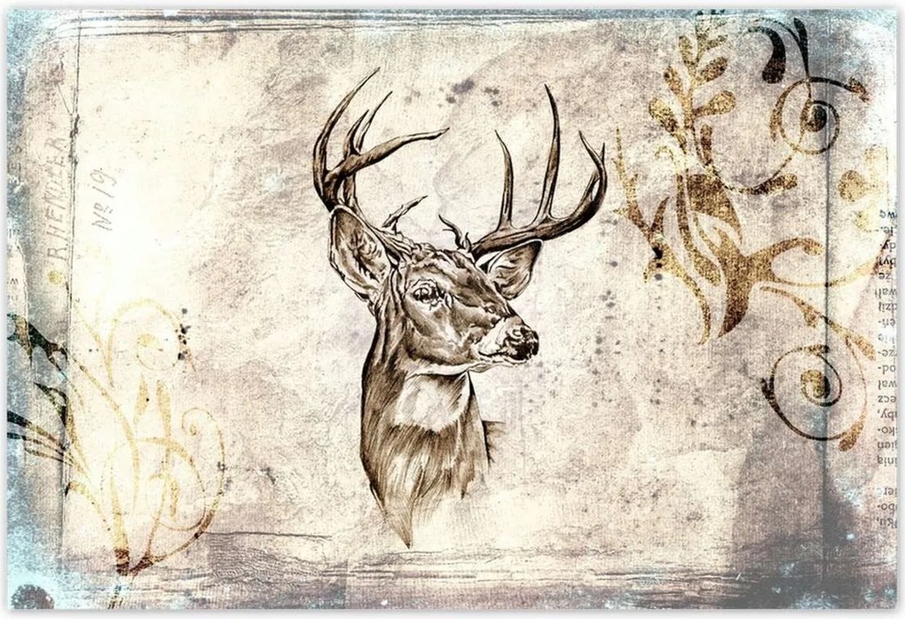 Poszterek 155x105 Szarvas agancsok