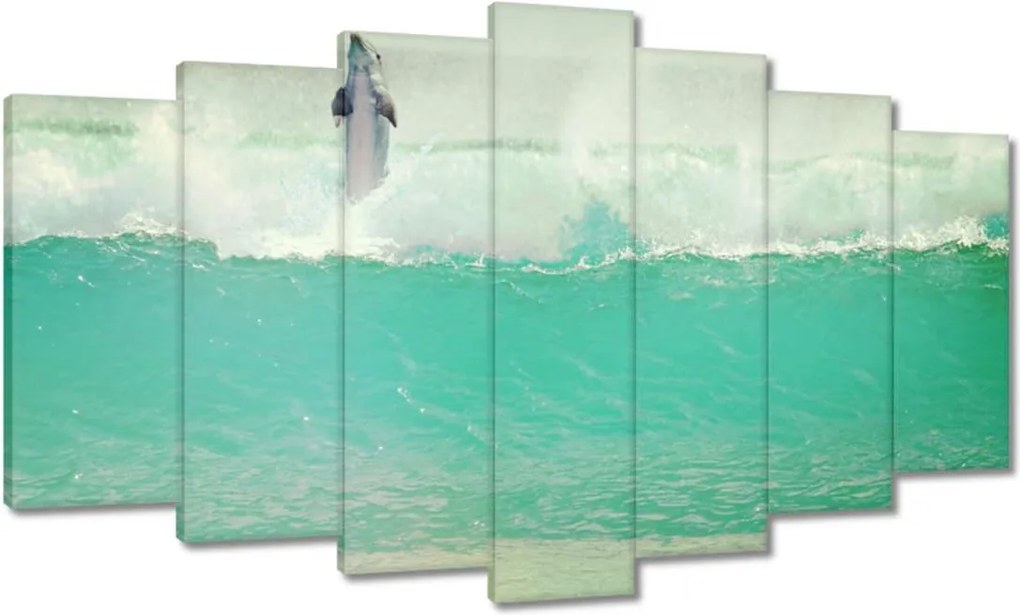 Képek 140x80 Szimpatikus delfin óceán