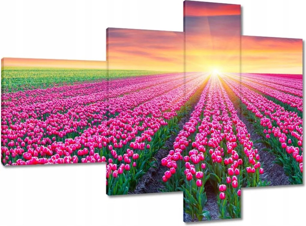 Vászonkép 100x70 Tulipánok tengere Virágok