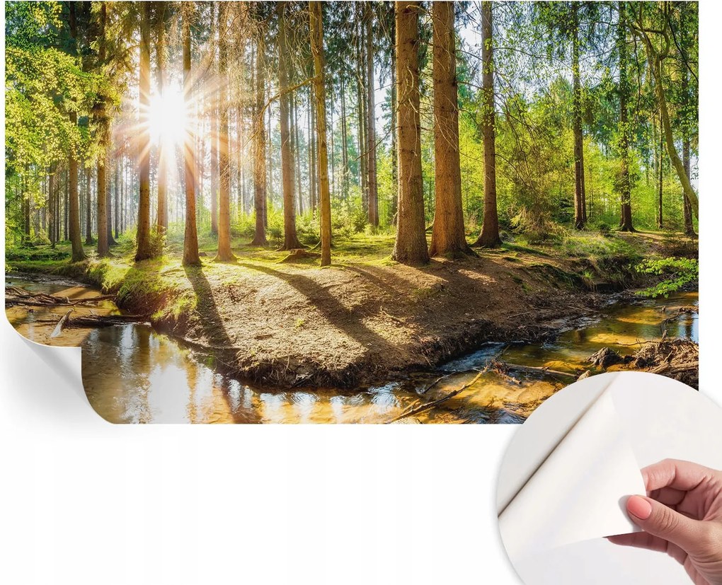 Öntapadós Dekoratív Fotótapéta Hálószobába Erdei idill 416x254 cm