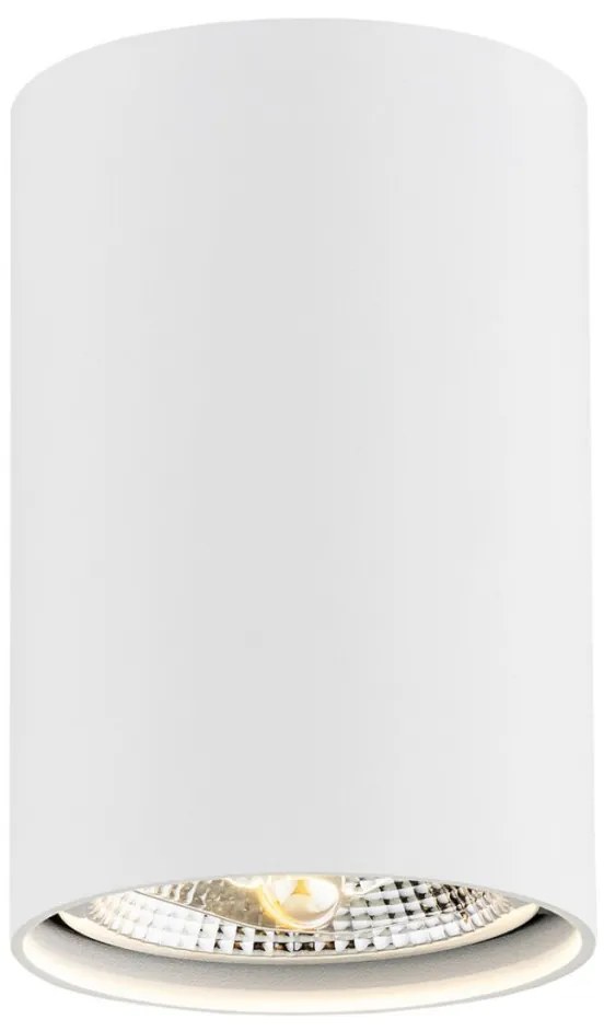 ARGON 4910-BZ TUBO Hengeres Mennyezeti Lámpa Fehér GU10/AR111 IP20