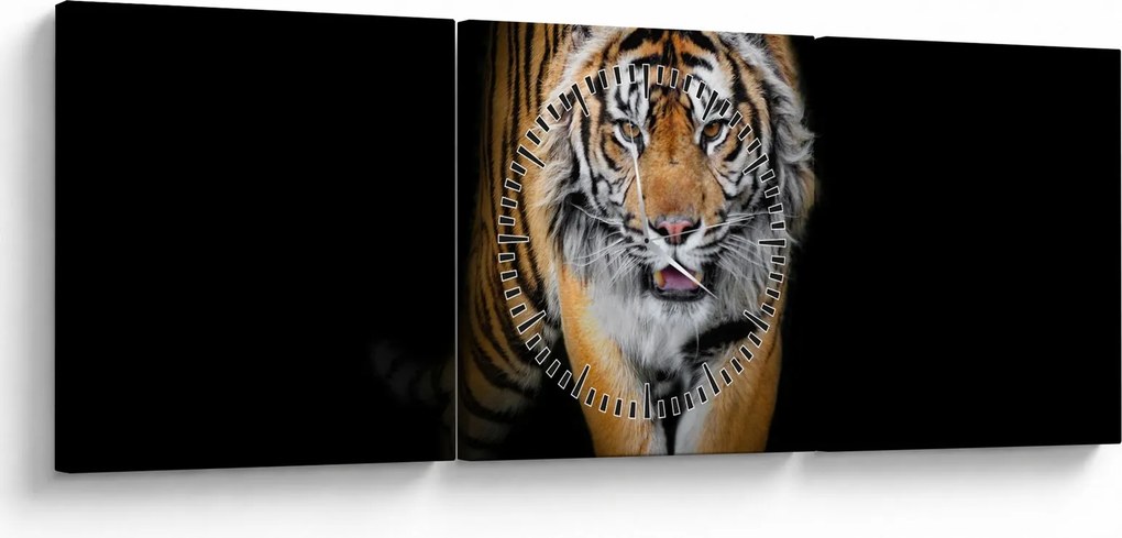 Kép - Tigris (órával) (90x30 cm)
