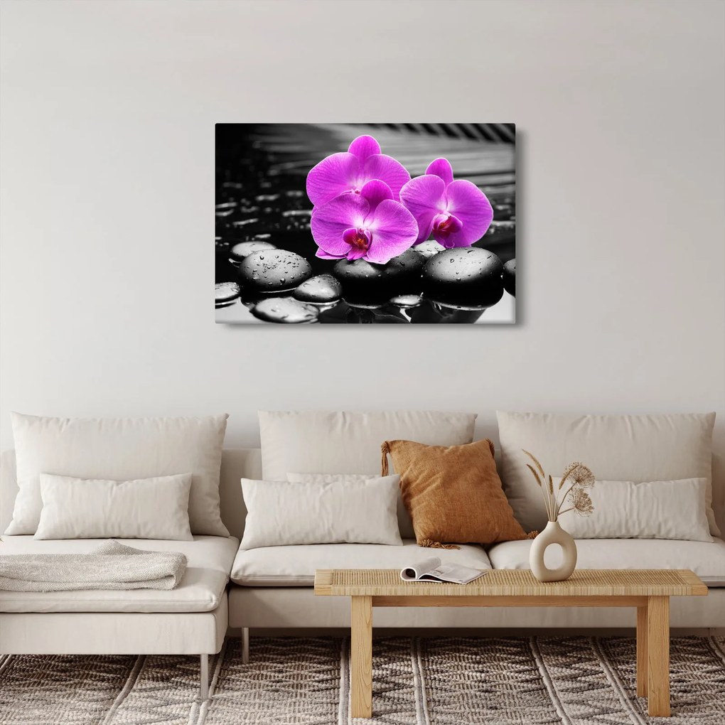 Kép - Lila orchideák (90x60 cm)