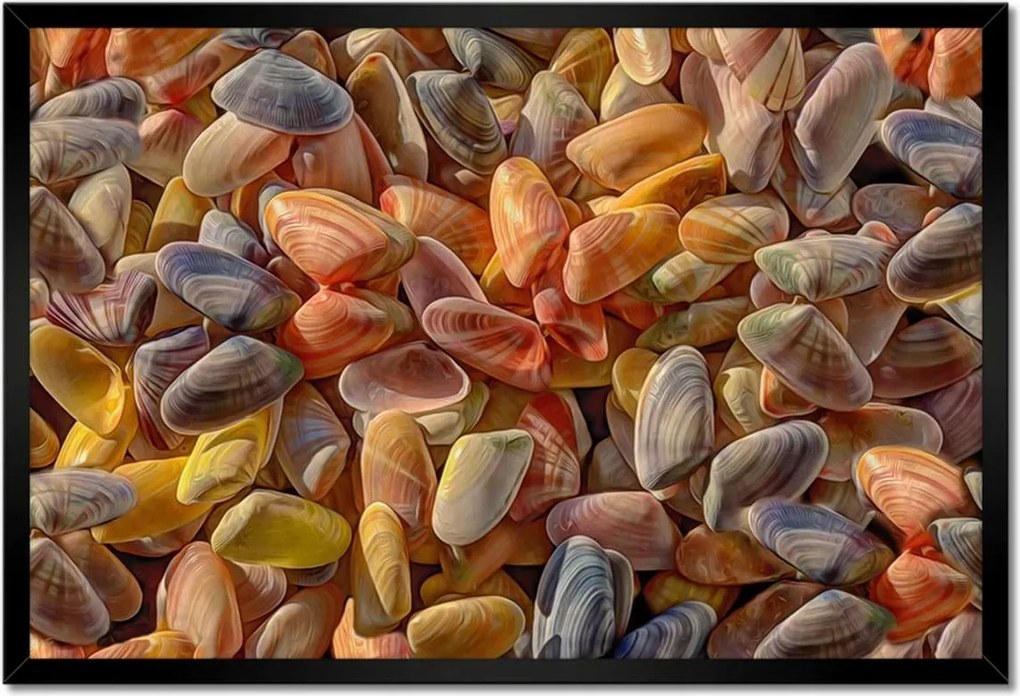 Poszterek keretben 60x40 Színes kagylók nyomtatás