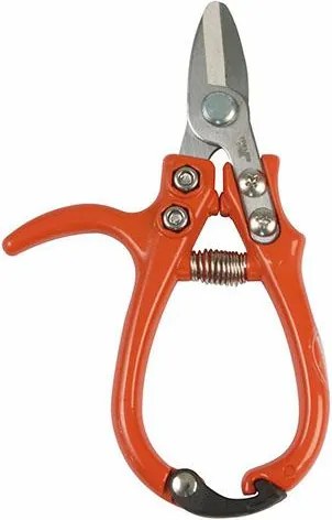 Metszőolló citrusfélékhez kicsi Mini metszőolló 14cm Rozsdamentes acél Szuper minőség