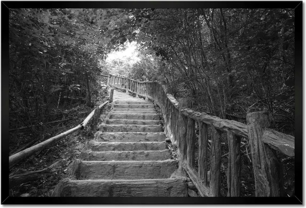 Poszterek keretben 60x40 Lépcsők a trópusokon