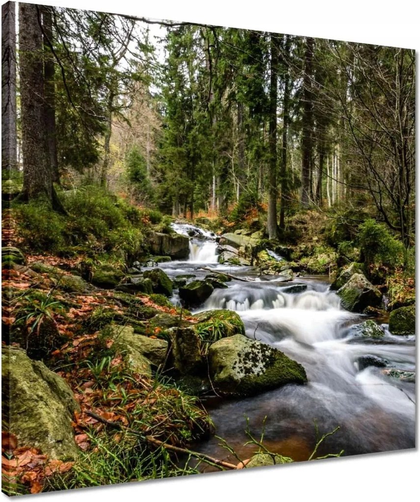 Vászonkép 50x50 Tájkép