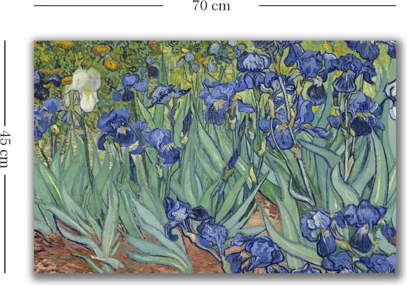 4570VANGOGH035 Van Gogh vászonkép, 45 x 70 cm