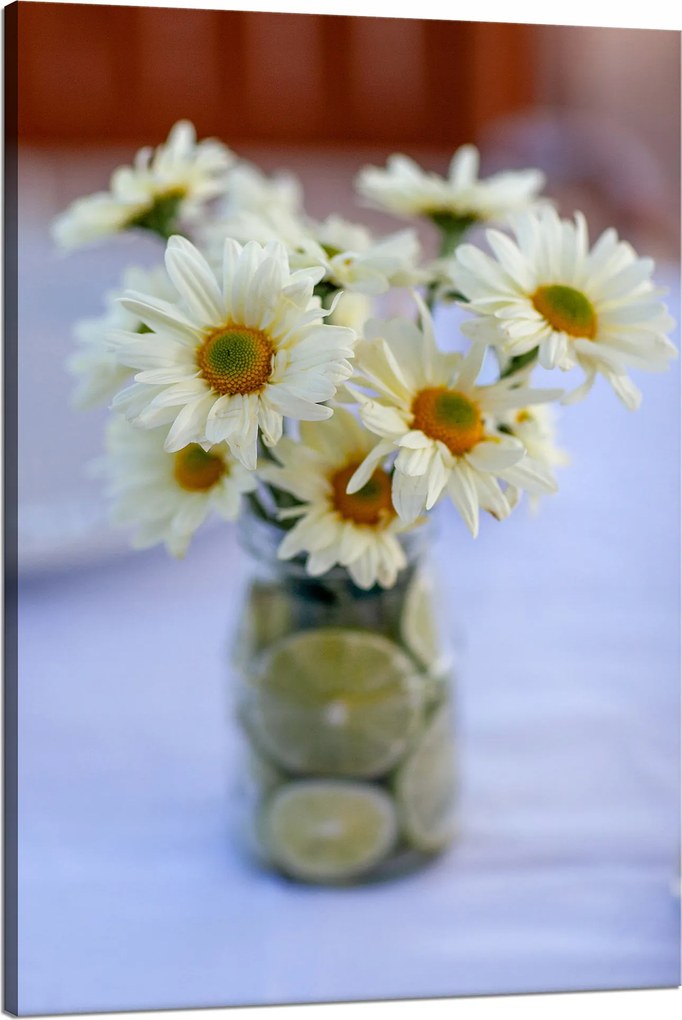 Vászonkép Botanika Csokor margaréta Természet Virágok Növények 80x120