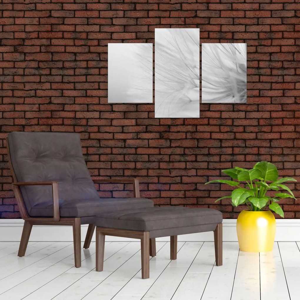 Kép - Pitypang (90x60 cm)