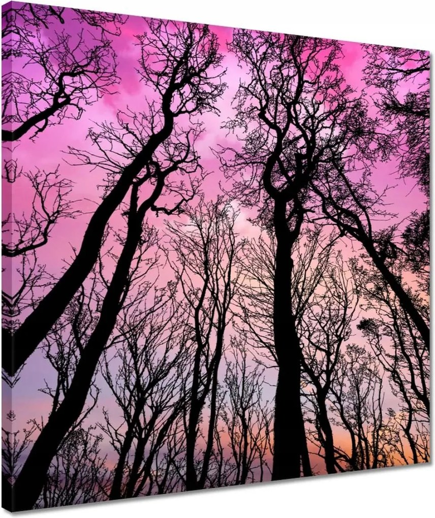 Vászonkép 40x40 Tájkép Látvány