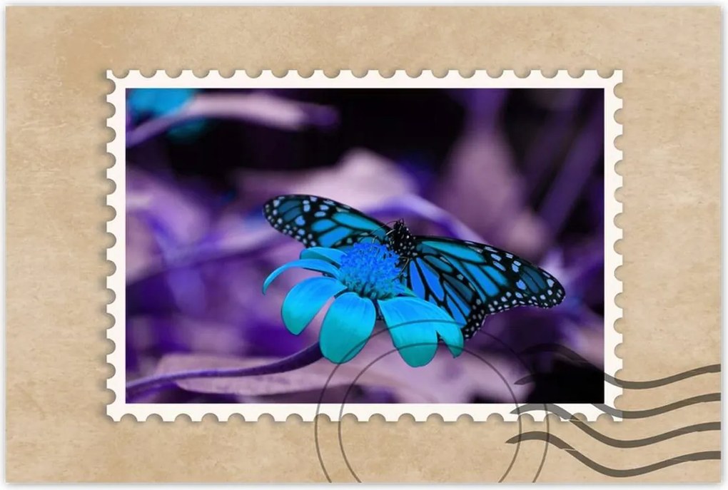 Poszter 60x40 Kék pillangó