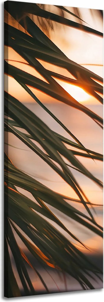 Vászonkép Természet Tengerpart Pálma Tenger Naplemente 40x120