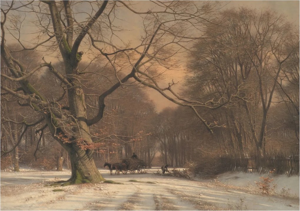 Dekoratív fotótapéta falra Könnyű összeszerelés Téli tájkép 208x146 Ragasztó