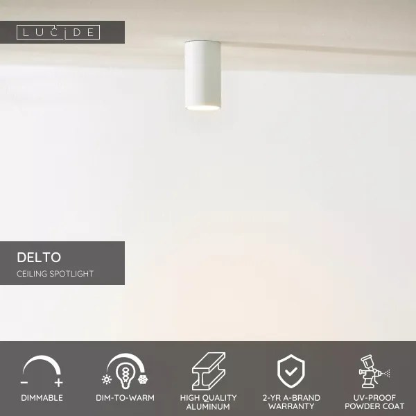Lucide 09915/06/31 - DELTO LED állítható spotlámpa 1xGU10/5W/230V fehér