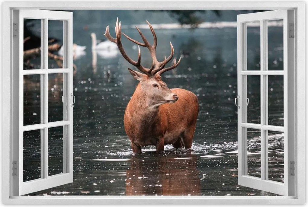 Poszterek 90x60 Szarvas felszarvazott