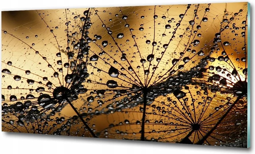 Fotó kép edzett üveg Cseppek a rózsán 100x70