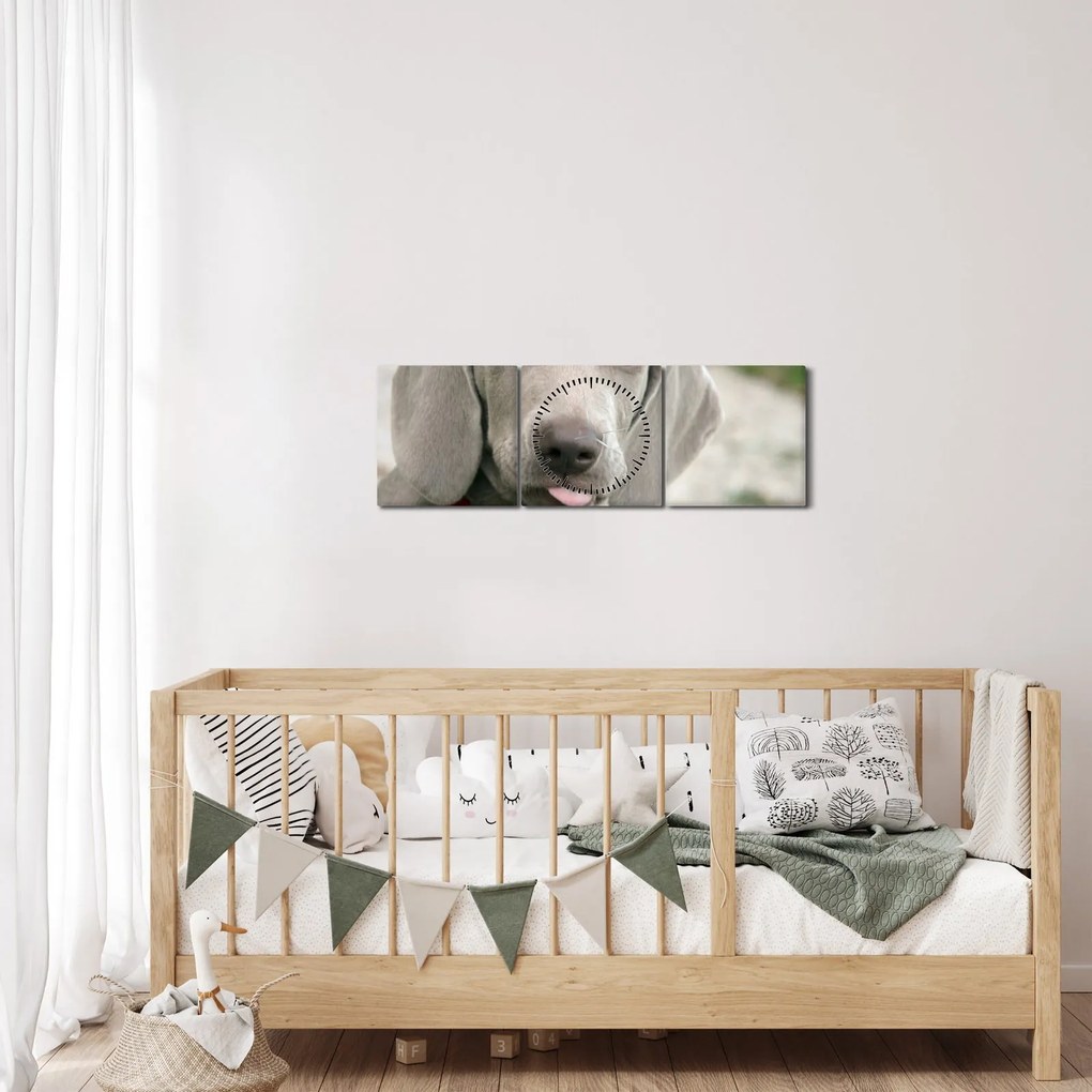 Kép - weimaraner kölyökkutya (órával) (90x30 cm)