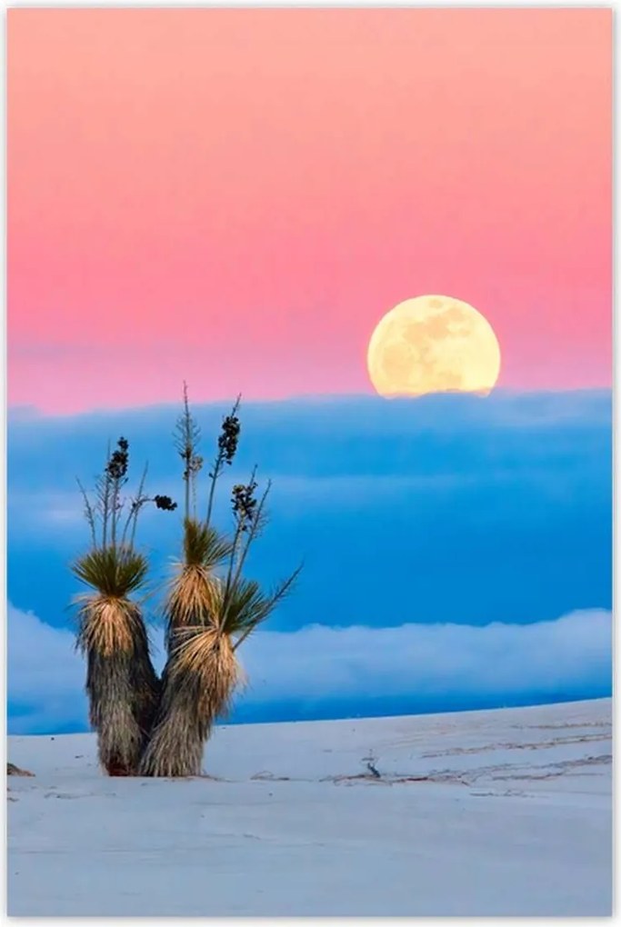 Poszterek 60x90 Kilátás Tájkép