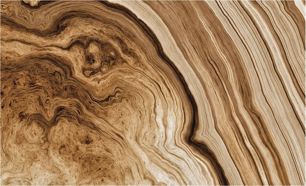 Dekoratív Fotótapéta Hálószobába Fa tégelyek 416x254