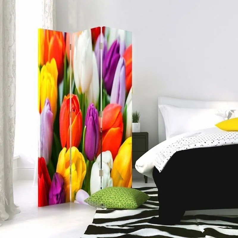 Gario Paraván Színes tulipánok Méret: 145 x 170 cm, Kivitelezés: Klasszikus paraván