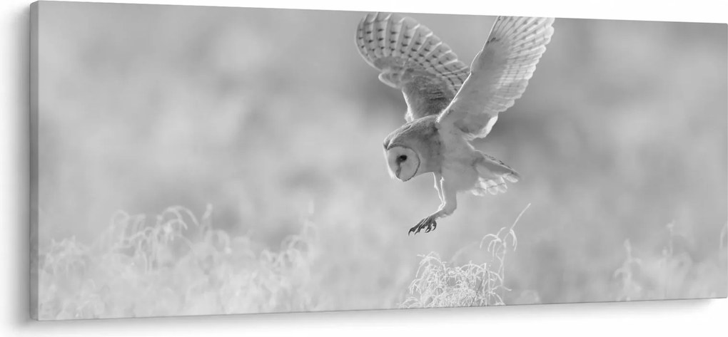 Kép - Bagoly a mezőn (120x50 cm)