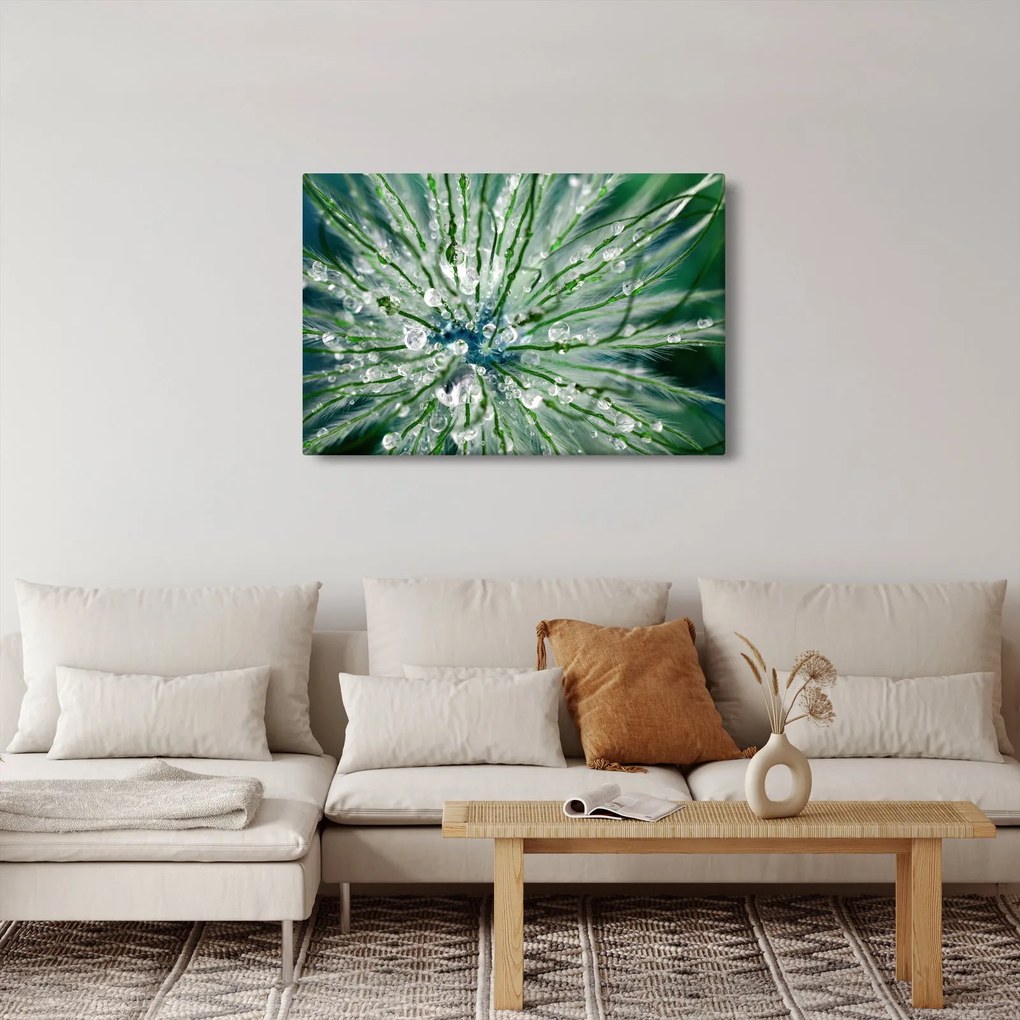 Kép - Makro kép egy virágról (90x60 cm)