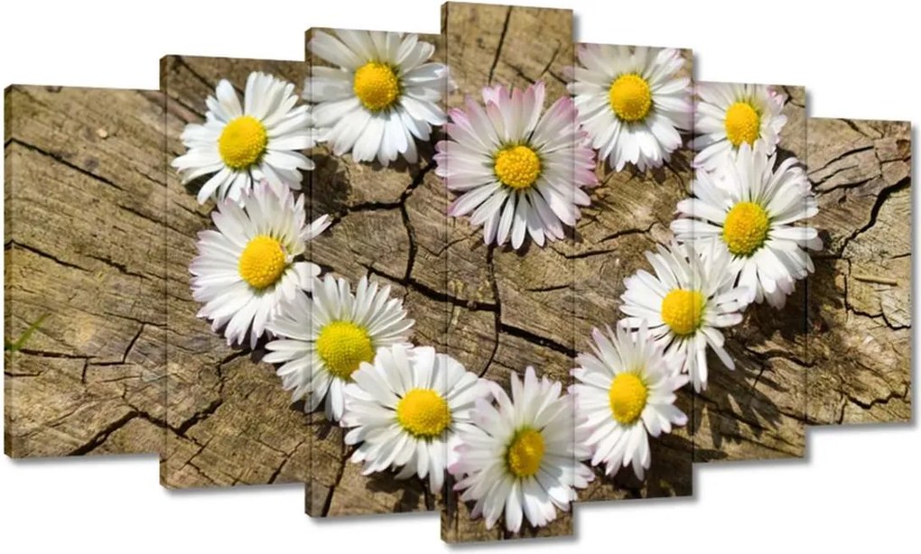 Vászonkép 140x80 Kamillaszív