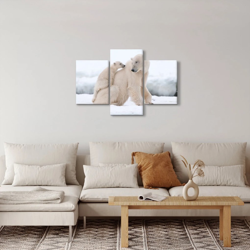 Kép - Jegesmedvék (90x60 cm)