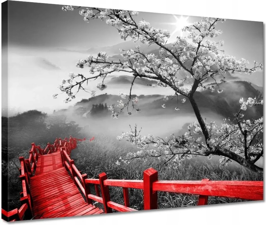 Vászonkép 40x30 Virágzó cseresznye Japán