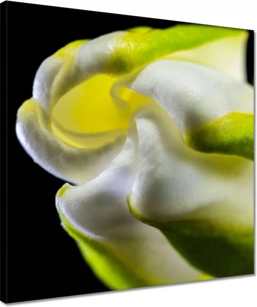 Vászonkép 40x40 Nőnap Ajándék Love