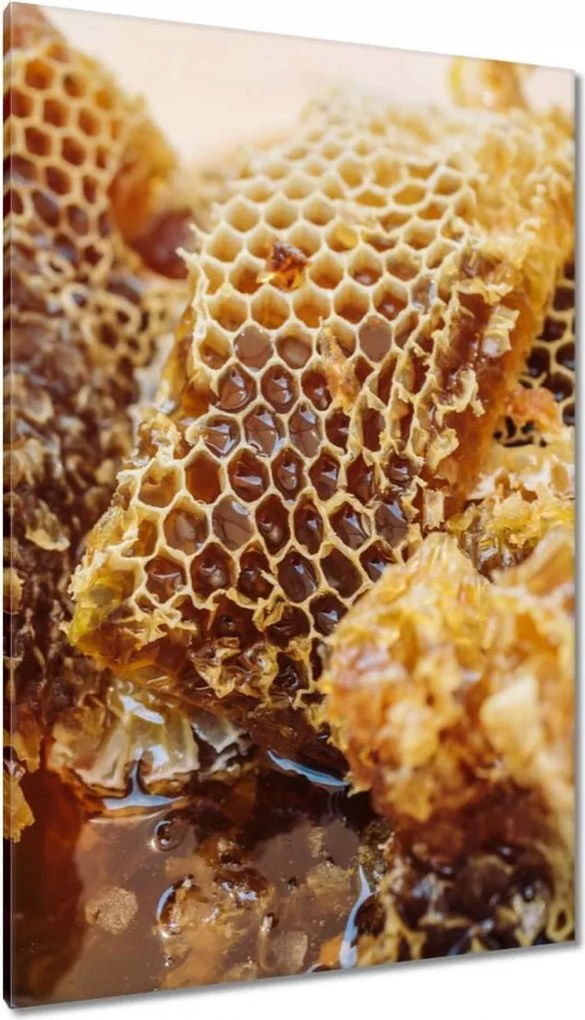 Vászonkép 80x120 Sárga méhsejt