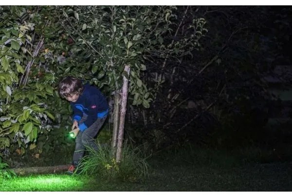 Ledlenser KIDBEAM4 DINO - LED fényerőszabályozható gyerekzseblámpa LED/2xAAA IP44 zöld