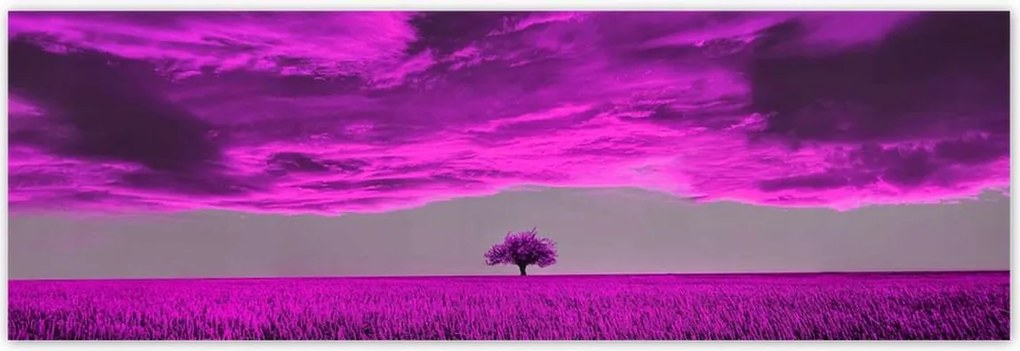 Poszterek 200x66 Lila tájkép