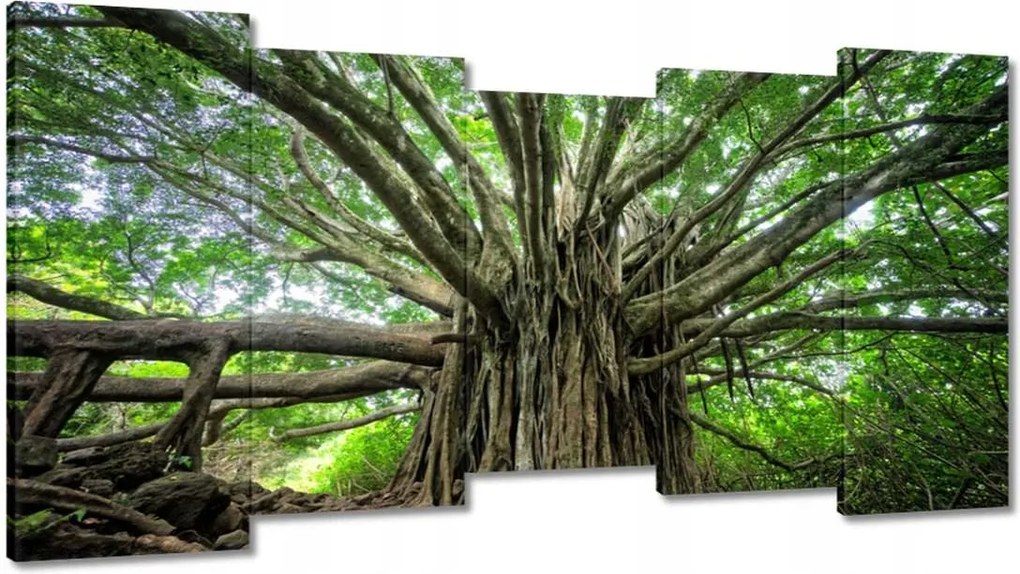 Festmények 150x80 Fa Fák Kilátás