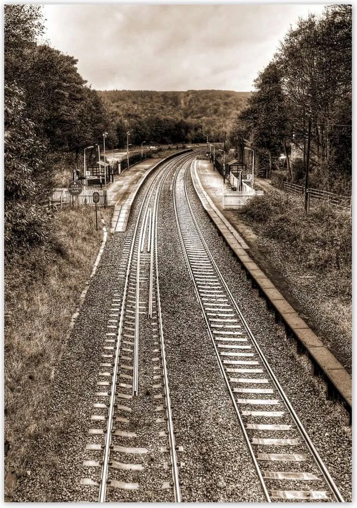 Poszterek 70x100 Tóra szépia fotó